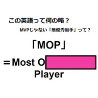 この英語って何の略？「MOP」