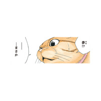 リアルすぎて夢と現実の区別がつかない！「夢のはずない」と語る犬が見た夢とは？【かのこちゃんとマドレーヌ夫人 #11】