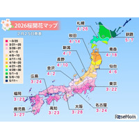 桜開花予想、東京3/22…つぼみ調査で西日本は「先が黄色に」