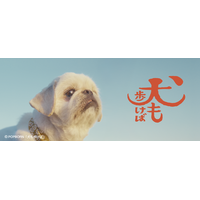 フォワー18万人超えの人気犬が前野朋哉と共演、短編映画『犬も歩けば』YouTubeにて公開
