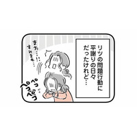 中学3年生になった息子は居眠りし、白紙のテストを出す。それでも登校してくれるだけで…【15歳の息子が消えた日 #17】