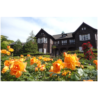 100種200株のバラ咲く「旧古河庭園」春のフェス4/29開幕