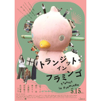 山下リオ×細川岳×祷キララ最旬若手キャスト集結 フラミンゴを探すへんてこ旅描く『トランジット・イン・フラミンゴ』5月公開 ポスター＆予告編
