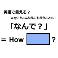 英語で「なんで？」は何て言う？