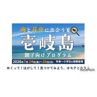 【夏休み2026】壱岐島、親子向けプログラム参加者募集