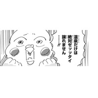 「温泉を諦めれば選択肢が広がる」物件探しのハードルに心折れ、まさかの条件を変更!?【98万円で温泉の出る築75年の家を買った #７】