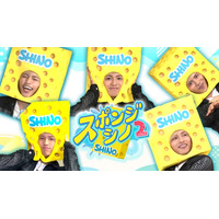 timelesz篠塚大輝、冠番組「スポンジ・シノ」カムバック 未公開シーン含む特別編配信も決定【スポンジ・シノ2】
