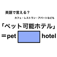 英語で「ペット可能ホテル」は何て言う？