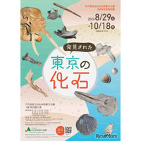 特別展「発見された東京の化石」日比谷図書文化館で8/29から