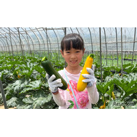【夏休み2026】八ヶ岳農業大学校で収穫体験「やさい博士ツアー」自由研究にも