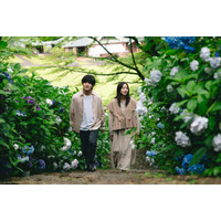「一次元の挿し木」紫陽（堀田真由）の真相判明で考察加速「悠（山田涼介）と双子？」回想シーンに注目集まる