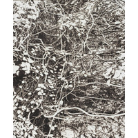 市川孝典、個展「FLEETING DAYS」10月7日より渋谷・NONLECTURE book/artsで開催