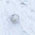 ウォーリーをさがせか！「真っ白ユニフォーム」で雪の試合を戦うとこうなる 画像