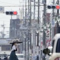 6月猛暑、栃木で39.8度 画像