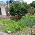 外国ルーツの子供に居場所を 画像