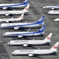全日空が客室乗務員の新卒採用へ 画像