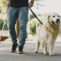 電車で…盲導犬と一緒に乗ろうとする男性。次の瞬間⇒「扉開きました」学生の【対応】に感動！！