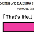 この英語ってどんな意味？「That’s life. 」 画像