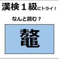 「鼇」の読み方、わかる？　爬虫類に分類される生物だよ【漢字クイズ】 画像