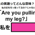 この英語ってどんな意味？「Are you pulling my leg? 」 画像