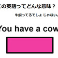 この英語ってどんな意味？「You have a cow. 」 画像