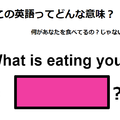 この英語ってどんな意味？「What is eating you? 」 画像