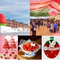 横浜赤レンガ倉庫で「Yokohama Strawberry Festival 2025」スイーツやアフヌン等“いちご尽くし”の24日間 画像