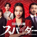 高橋メアリージュン主演「離婚弁護士 スパイダー」シーズン2地上放送決定 寺西拓人も新たに仲間入り 画像