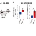 メスの提示による床面の記憶の強化