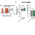 早期ノンレム睡眠時の扁桃体→M2入力の抑制による床面記憶の強化のみの阻害