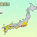 1都19県で花粉シーズン入り…西日本で過去最多予想 画像