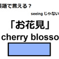 英語で「お花見」はなんて言う？ 画像
