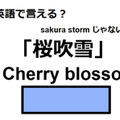 英語で「桜吹雪」はなんて言う？ 画像