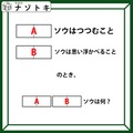 クイズです！「”ソウ”がつく言葉」を空想すると、見えてくるものって？【難易度LV３.・中辛】 画像