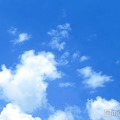 TOKYO MX、ハラスメント等に関する社内調査の結果報告「不適切と感じる性的な接触や要求」に“ある”回答も