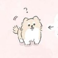 愛犬むっくは動くとついてくる…なにか期待している？ 【うちのむっくはいつも楽しそう #１ 】 画像