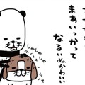 「夢や希望」なくしたのは、いつだっけ？  そんな思いも帳消しにしてくれる存在【パンダと犬 ＃８】 画像