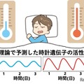 京大・理研、体内時計の新たな仕組みを解明 画像