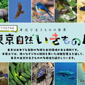 【夏休み2025】デジタルでみる東京自然いきもの展8/2より 画像