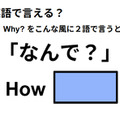 英語で「なんで？」はなんて言う？ 画像
