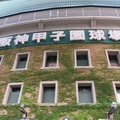 【高校野球2025夏】東洋大姫路、序盤リード守り切る 花巻東との激闘制し16強進出 画像