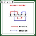 クイズです！「ドから始まる空想の生物って？」ハテナに文字を当てはめて言葉を導きましょう【難易度LV３.・中辛】