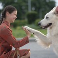 『ランポ～旅するわんこ～』©Canal+ Polska