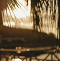 ユウナギ カフェ（提供写真）