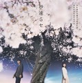 「秒速5センチメートル」新ビジュアル（C）2025「秒速5センチメートル」製作委員会