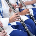 第73回全日本吹奏楽コンクール…金賞は福岡県精華女子高、千葉県幕張総合高など全10校 画像