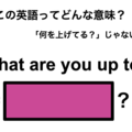 この英語ってどんな意味?「What are you up to?」