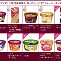 【ハーゲンダッツ フレーバー総選挙】2025年人気ランキング発表、ファンが選ぶ新商品1位はあの“濃厚チョコ系” 画像