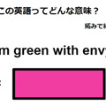 この英語ってどんな意味？「I’m green with envy.」 画像
