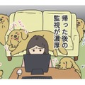 家に戻ると視線が集中、愛犬からの‟監視”包囲網。少し留守番させただけなのに…【おさんぽですし！　おしゃべり犬とイライラ猫の日記 #８】 画像